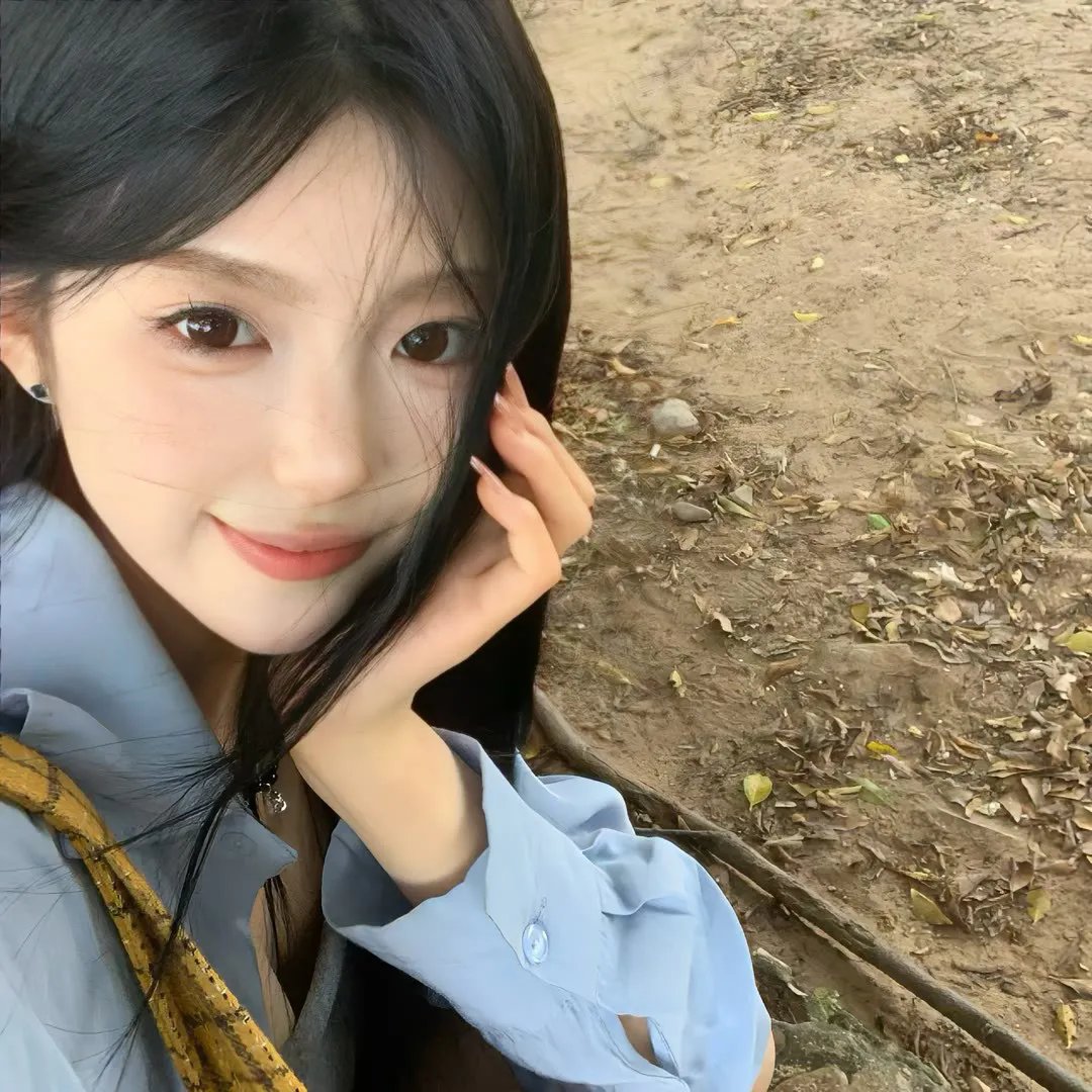 羊与钢的森林